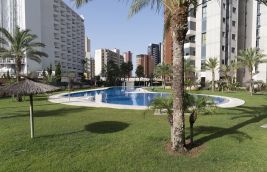 Apartamentos en Benidorm - Piscina Gemelos 26
